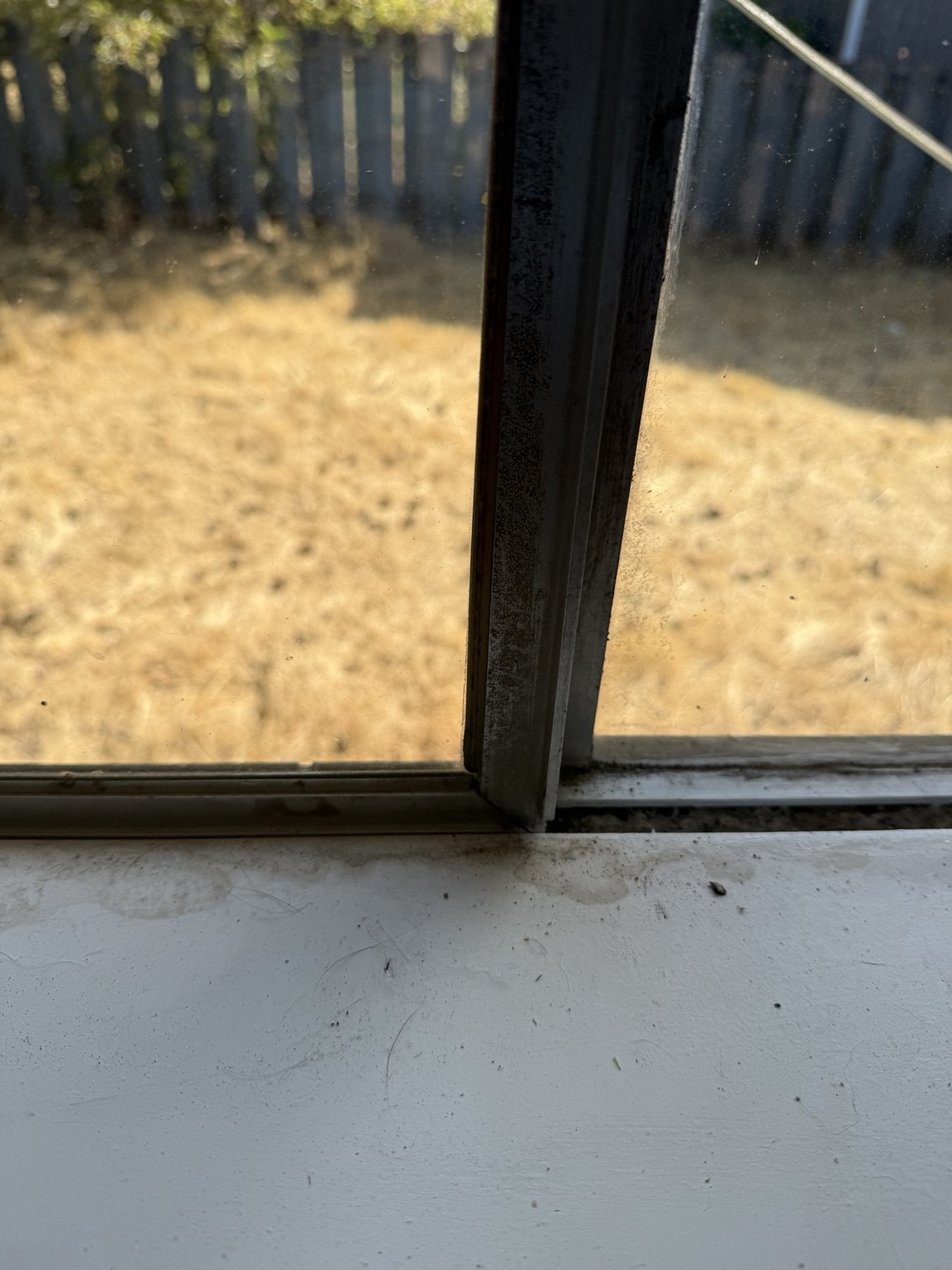 Detailed window sill cleaning before cleaning