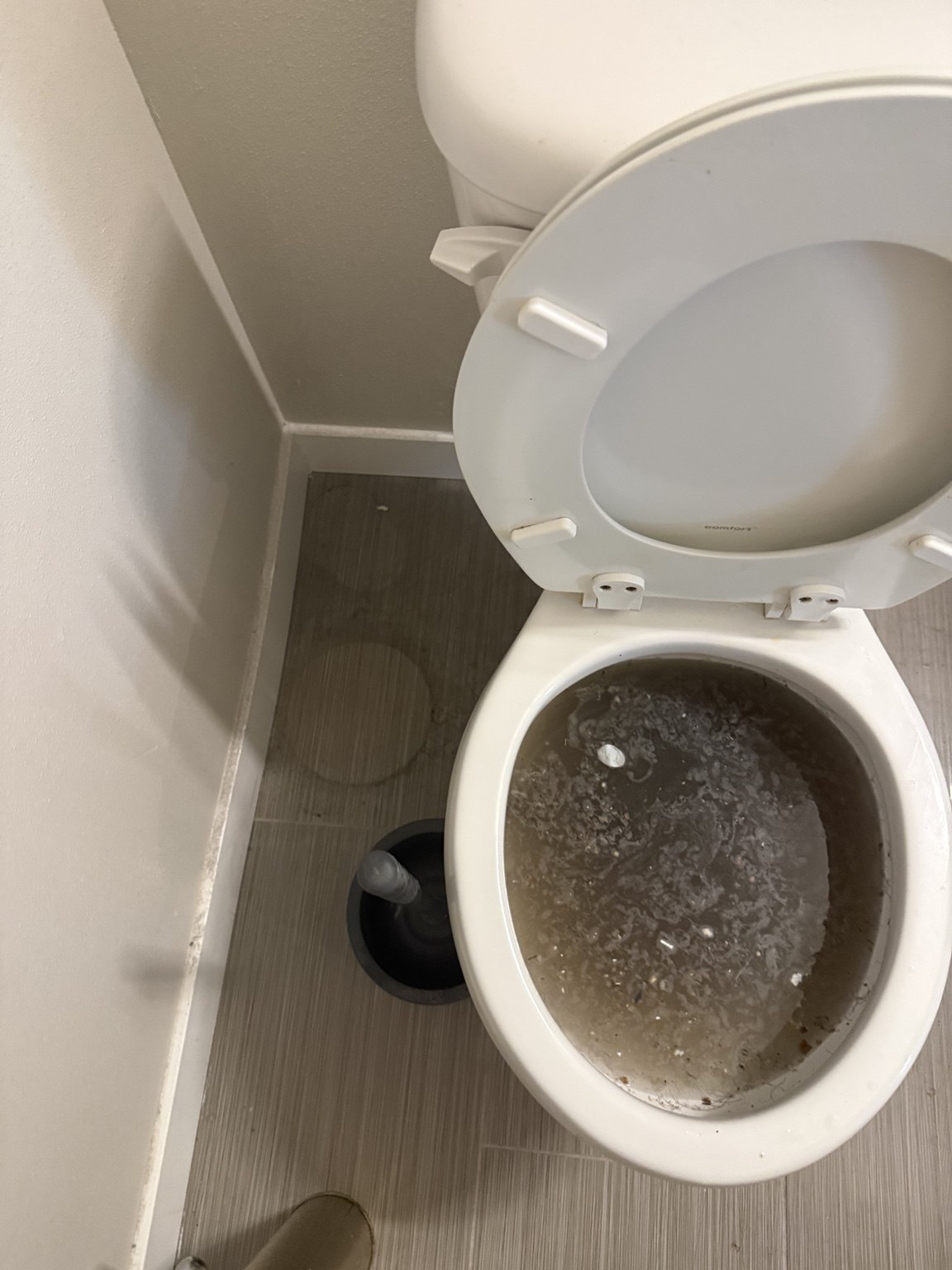 Detailed toilet cleaning before cleaning