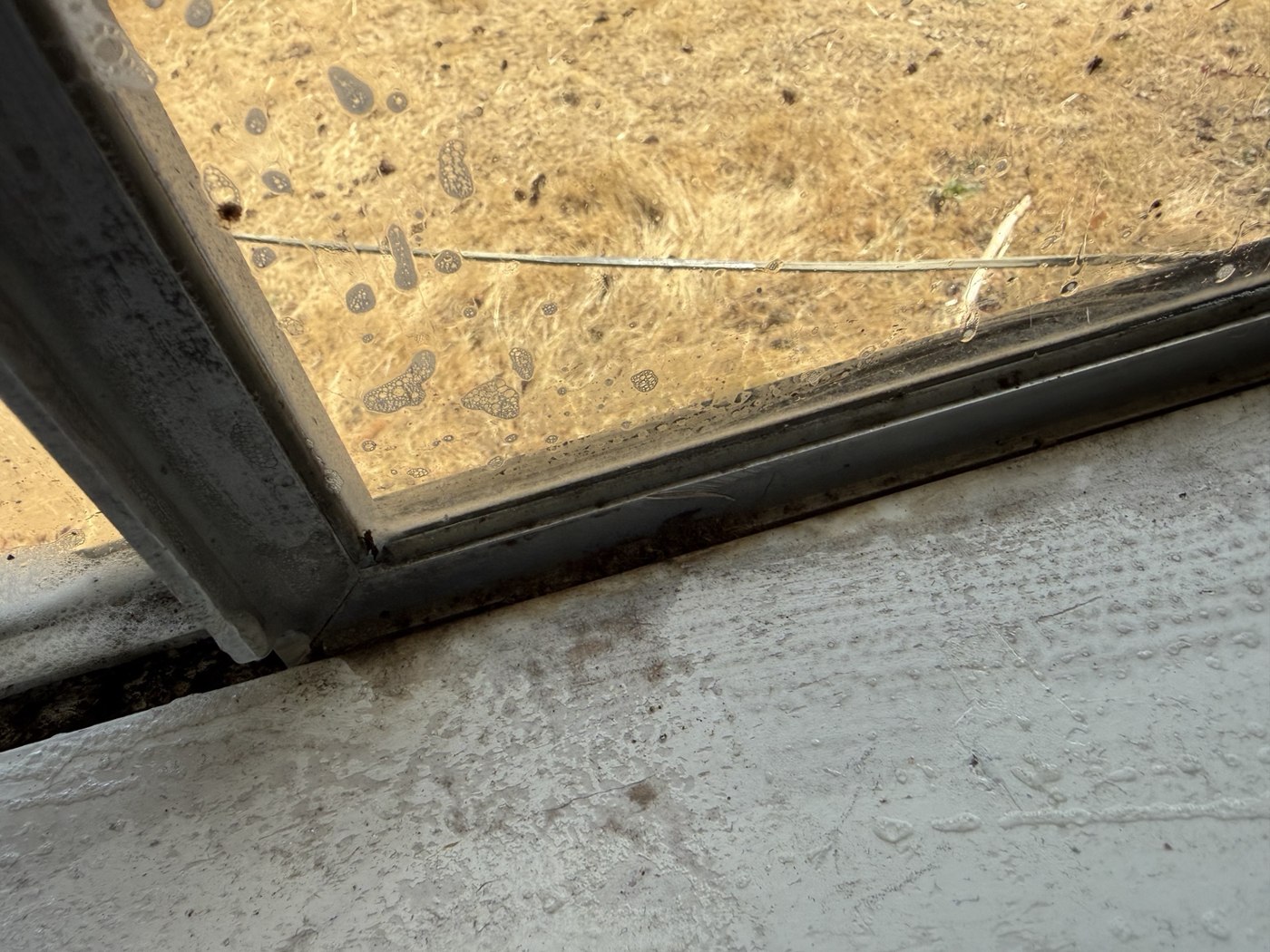Window tracks & sills before cleaning